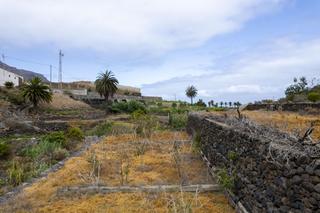Terreny residencial  El perdón. Terreno rústico en la costa de buenavista del norte