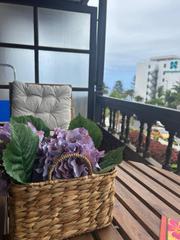 Lloguer Estudi  Aceviño. Estudio en alquiler en zona botánico en puerto de la cruz