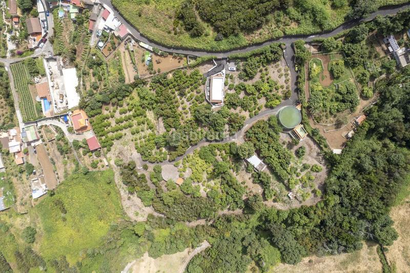 Foto 2913bb94-6cd3-48d9-a544-ccbf40499476. Masía finca con alma, frutales y vistas 360 en la orotava la cabezada en Orotava (La)
