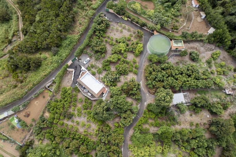 Foto 343550f6-5841-4db0-8d00-a741cb2477da. Masía finca con alma, frutales y vistas 360 en la orotava la cabezada en Orotava (La)