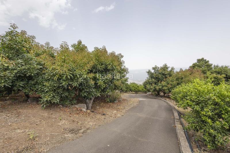 Foto 5f8a7147-a345-4369-aca3-700a61b366fe. Masía finca con alma, frutales y vistas 360 en la orotava la cabezada en Orotava (La)