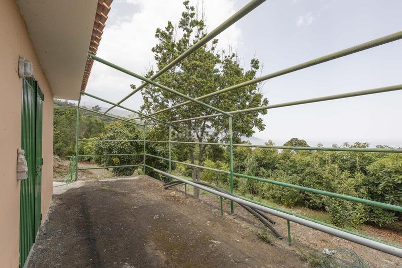 Foto 9680a272-aec3-4871-a9d4-5d49d6da7102. Masía finca con alma, frutales y vistas 360 en la orotava la cabezada en Orotava (La)