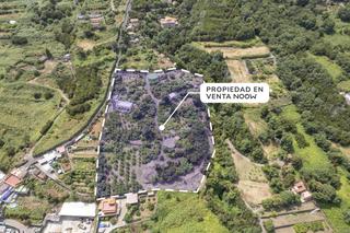 Masia  Del sauce. Finca con alma, frutales y vistas 360 en la orotava la cabezada