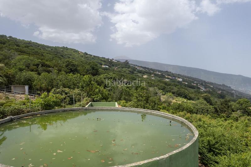Foto c88df9ae-0e0e-4074-9ca7-2a30ef58f210. Masía finca con alma, frutales y vistas 360 en la orotava la cabezada en Orotava (La)