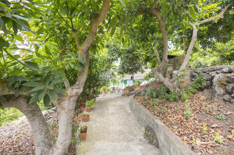 Foto d2c70c09-9578-4871-b3a1-d6be99c52423. Masía finca con alma, frutales y vistas 360 en la orotava la cabezada en Orotava (La)