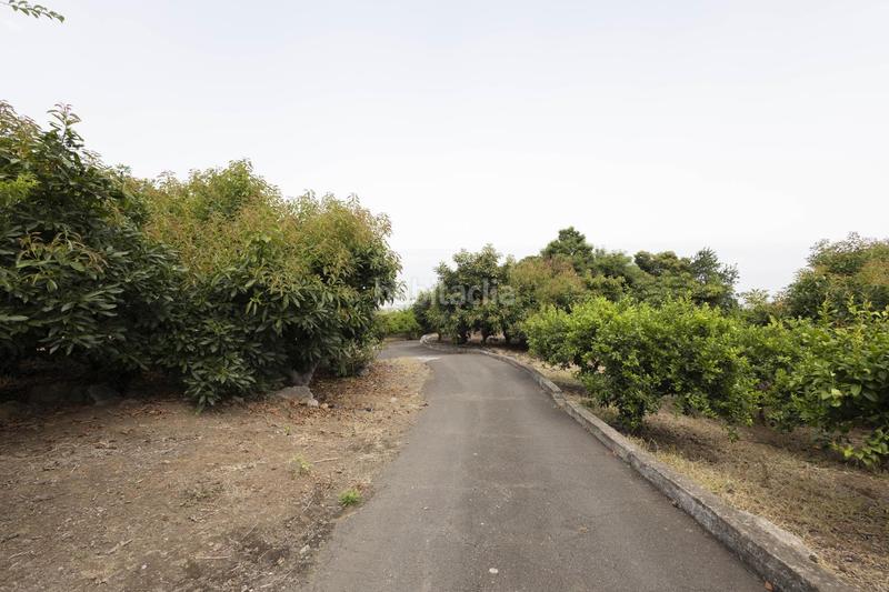 Foto ed464c0a-6463-42a5-ba07-e16d77b054bd. Masía finca con alma, frutales y vistas 360 en la orotava la cabezada en Orotava (La)