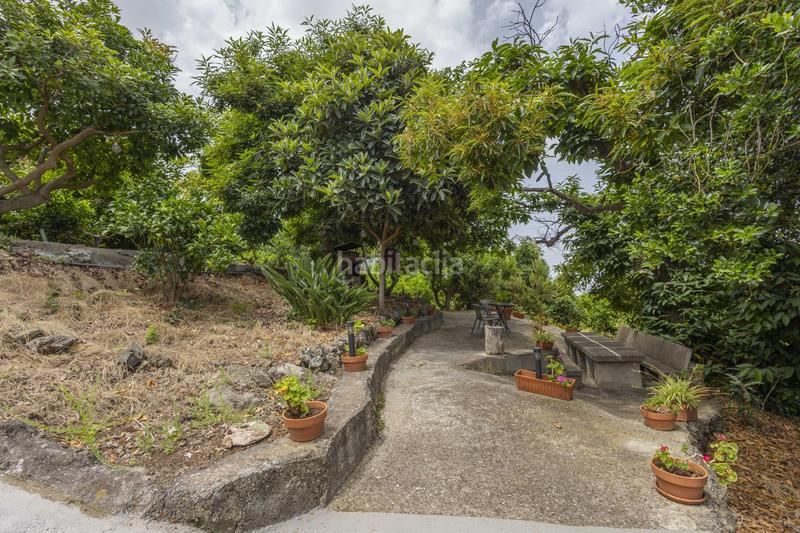 Foto f2c86384-6c64-47a7-abf6-40a0cf9544d2. Masía finca con alma, frutales y vistas 360 en la orotava la cabezada en Orotava (La)