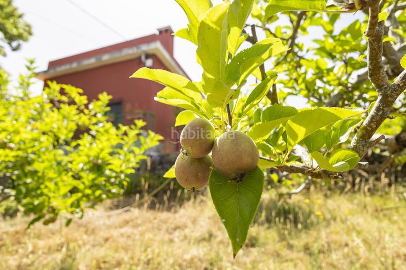 Foto 116de141-5c65-4e5c-961a-debf13777cb6. Maison dans El Bebedero - Pinolere - Aguamansa Orotava (La)