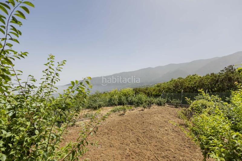 Foto 453eb3be-f5de-4c71-a80c-454fc78ee81b. Maison dans El Bebedero - Pinolere - Aguamansa Orotava (La)