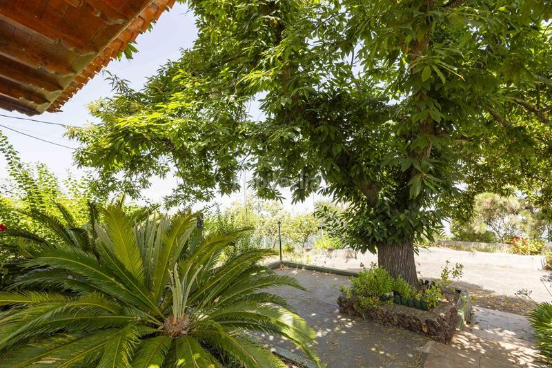 Foto 4eb937f1-1542-4f30-942e-694ae3f521ac. Maison dans El Bebedero - Pinolere - Aguamansa Orotava (La)