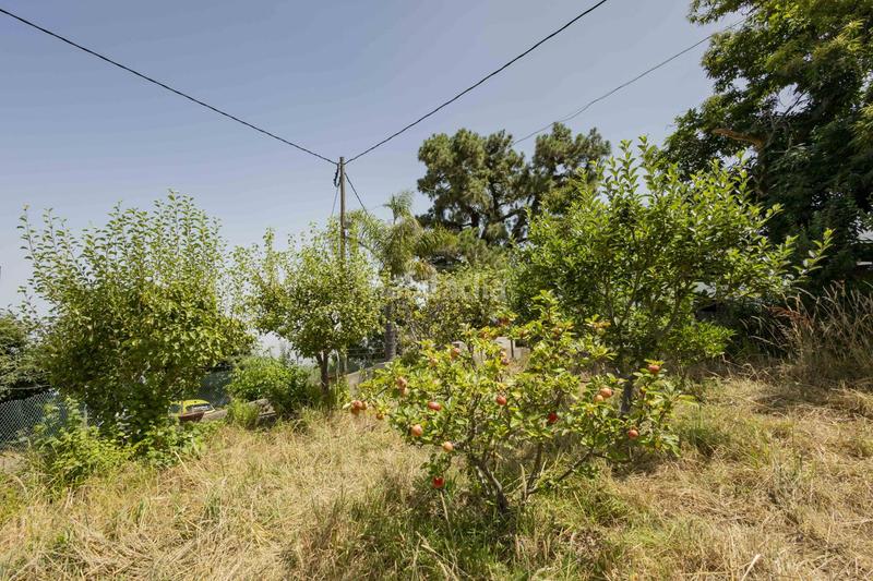 Foto 5ca6d68a-b910-45a7-8fa5-0a772e492121. Maison dans El Bebedero - Pinolere - Aguamansa Orotava (La)