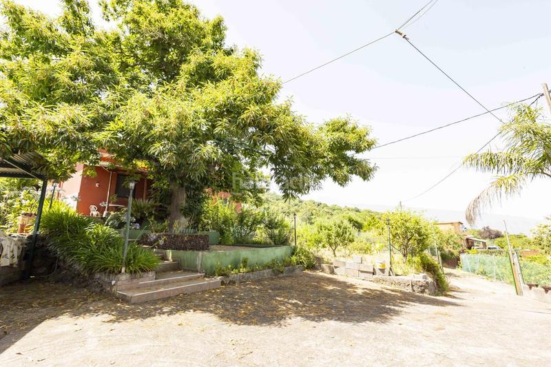 Foto 7c81d9f7-0056-450d-95a0-d994bd1e0006. Maison dans El Bebedero - Pinolere - Aguamansa Orotava (La)