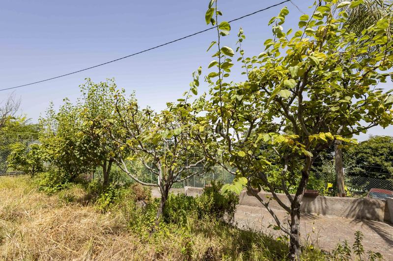 Foto 995400c1-9698-492b-915e-f95ef3f16883. Maison dans El Bebedero - Pinolere - Aguamansa Orotava (La)