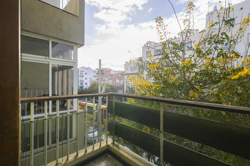 Foto 25f18566-d2c6-4825-9746-994877997741. Pis a Buenavista - Chapatal Santa Cruz de Tenerife