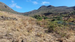 Pis  Calle dacio ferrera martín 0. Terreno rústico agrícola