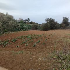 Finca rústica a Calle hoya de la viuda. Venta de terreno rústico con potencial agrícola
