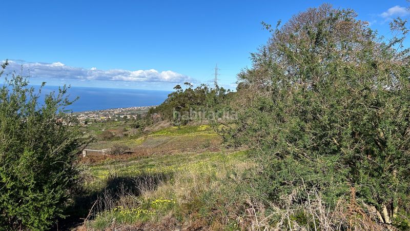 Foto 0bd88f77-e045-4bd5-8e0a-d8972f010b53. Finca rústica a calle corraletes a Sauzal (El)