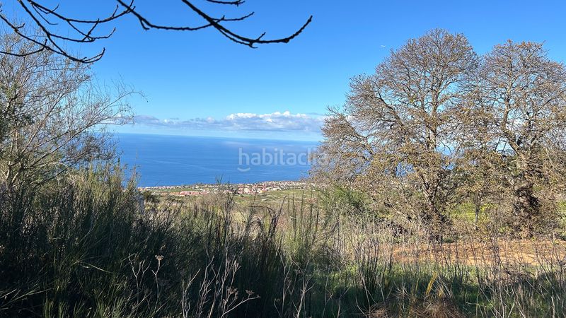 Foto 94f33368-4b82-4cee-a025-07675a56a222. Finca rústica a calle corraletes a Sauzal (El)