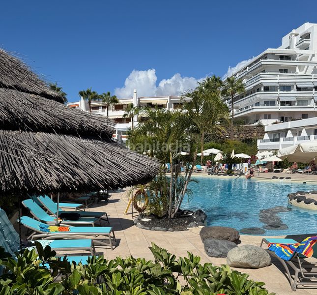 Foto 87b897a0-34fe-44db-9ffa-9426ba57a3c3. Pis amb aparcament piscina a San Eugenio Bajo Adeje