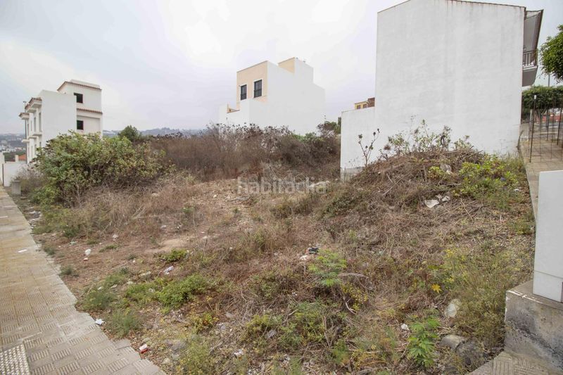 Foto 04d685ab-b66a-42b7-9229-a9a4a62049f8. Pis a Guancha (La)