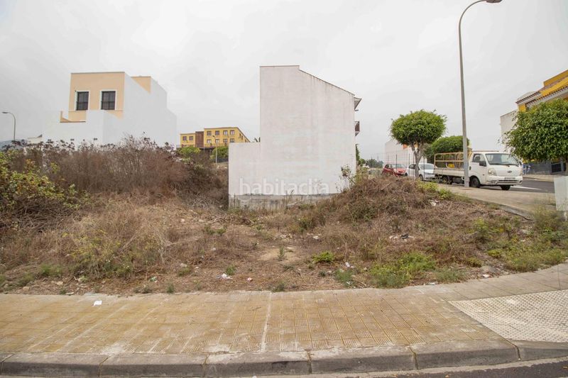 Foto 69ae969a-962c-487a-96bb-7936b7eebbb2. Pis a Guancha (La)