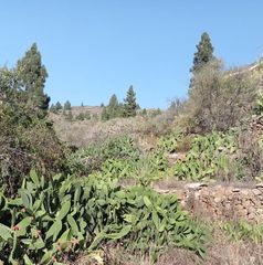 Finca rústica  Calle la parranda. Venta de suelo rústicoagrario en calle la parranda, guía de isor