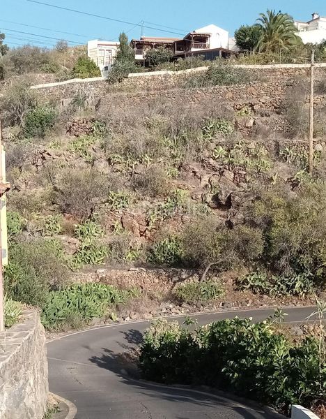 Foto 5adb4f6a-2255-4042-8ab2-3e24e650a1d1. Finca rústica a calle la parranda a Guía de Isora interior Guía de Isora