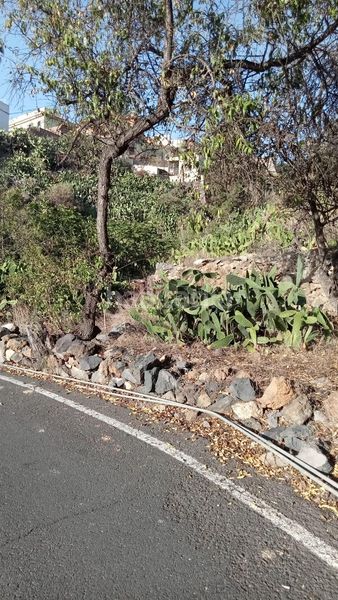 Foto a255e639-aedc-4bca-8469-83f06a3bdce2. Finca rústica a calle la parranda a Guía de Isora interior Guía de Isora