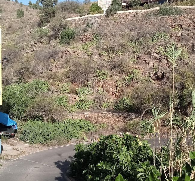 Foto d1de37e3-bd2c-489a-8869-b54b02fe114f. Finca rústica a calle la parranda a Guía de Isora interior Guía de Isora