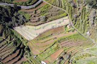 Finca rústica a Lomo Alto ( El Tributo)