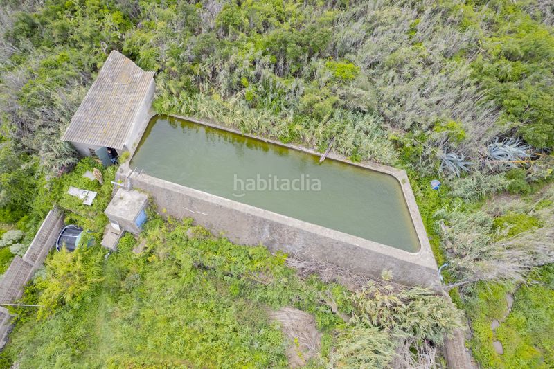 Foto 25a76137-ce3d-424e-b7c7-91d94c26878a. Finca rústica a los silos a Silos (Los)