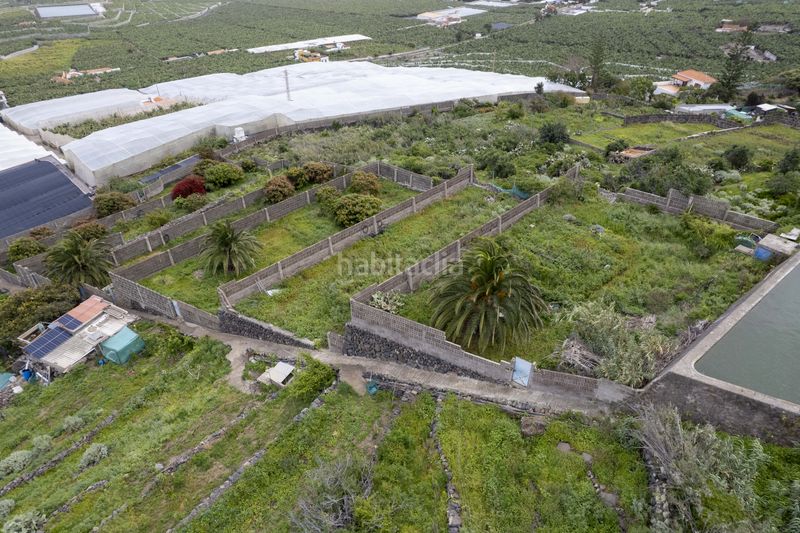 Foto 4b34e4e6-6182-4d55-ba04-fc8b582dbe3d. Finca rústica a los silos a Silos (Los)