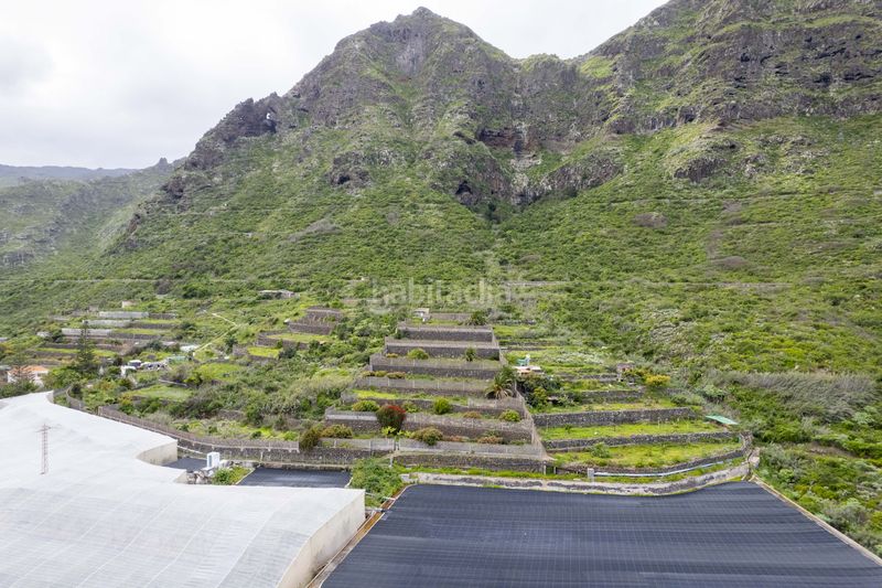 Foto f6d2645c-0347-42f3-94e6-955104c97791. Finca rústica a los silos a Silos (Los)