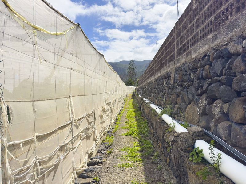 Foto fb675d45-26d7-4b95-9a73-8ab1838174ed. Finca rústica a los silos a Silos (Los)
