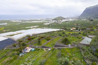 Finca rústica en Los silos. Maravilloso terreno con cuarto de aperos