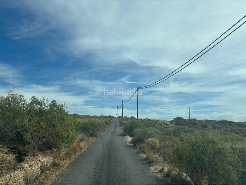 Foto d39d7a53-7930-4c19-b993-ac4813297d42. Finca rústica a Arico