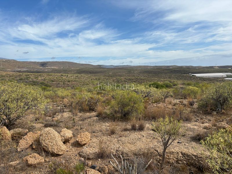 Foto eac6a385-8b33-454c-9f9d-1f817ebb11e3. Finca rústica a Arico