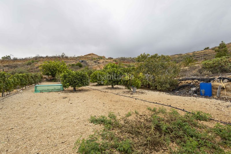 Foto a1e243df-a752-4ac2-a282-991156b1aea0. Finca rústica a calle san bartolomé a Arico