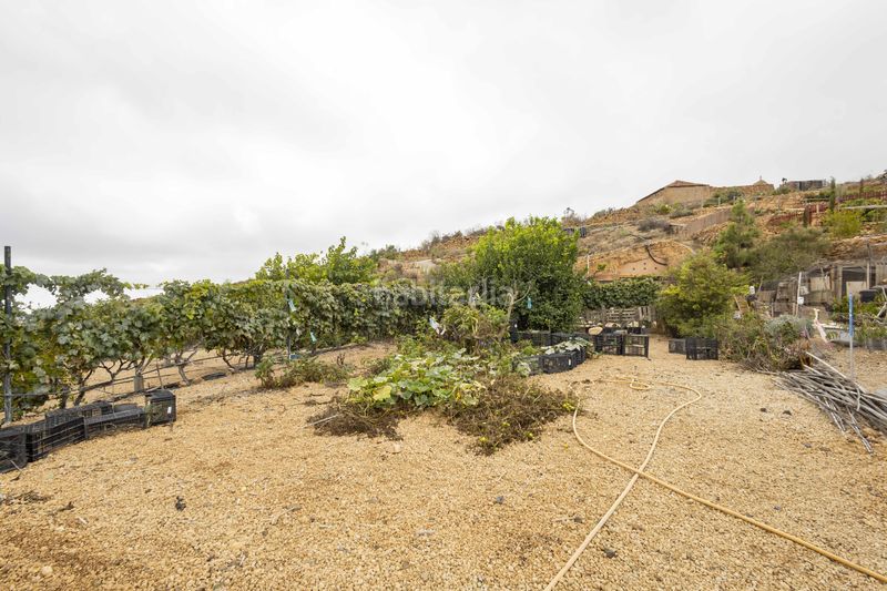 Foto a34fd798-d5e4-422b-9566-c3e5798e2883. Finca rústica a calle san bartolomé a Arico