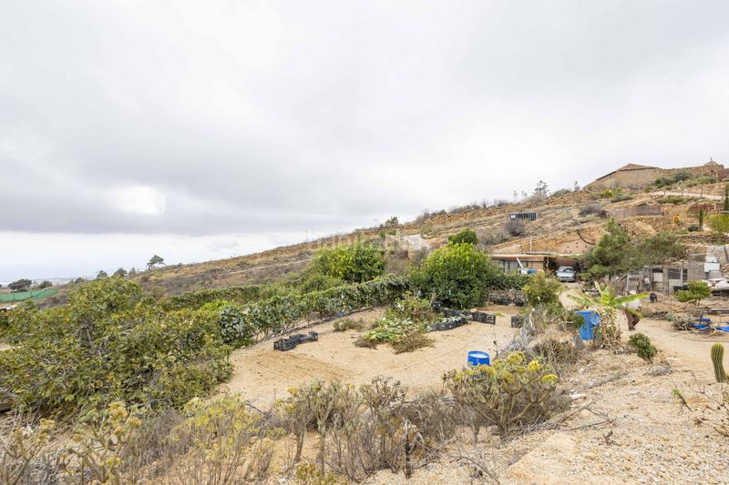 Foto a6a0d98d-326e-41e2-bdfc-11a9f5ade124. Finca rústica a calle san bartolomé a Arico