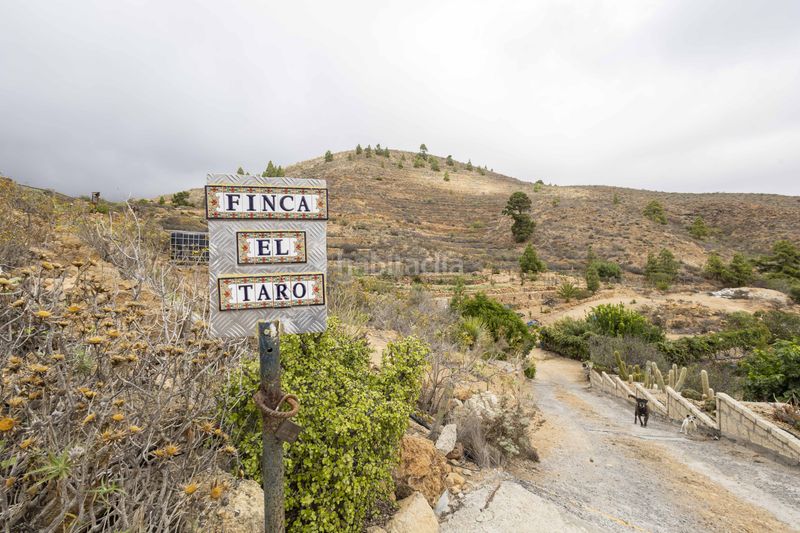 Foto b69f32f2-d242-4de0-a060-57a1664b0c01. Finca rústica a calle san bartolomé a Arico