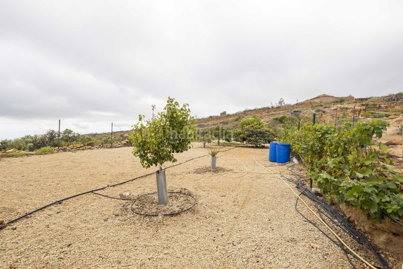 Foto eb30e593-e166-4e95-a111-f314a43ab099. Finca rústica a calle san bartolomé a Arico
