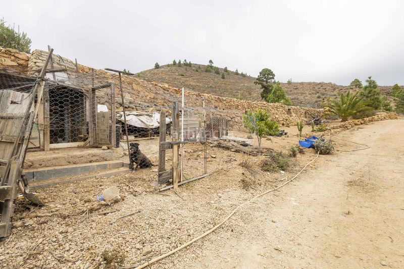 Foto efc62441-8a38-413c-8ac1-70a1f6cf6ed0. Finca rústica a calle san bartolomé a Arico