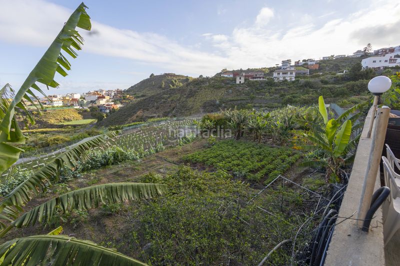 Foto 7ebb1db7-0c95-4e4a-b2aa-ac89157bc5ec. Casa  familiar con apartamento vacacional, huerto de 800 m y vistas al mar y al teide los moriscos en Icod de los Vinos