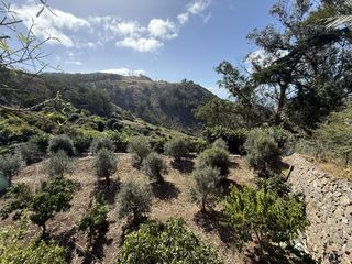 Landgut in Tegueste. Finca agrícola en producción con vistas panorámicas al mar  tegu