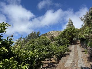 Fondo rustico in Tegueste. Finca agrícola en producción con vistas panorámicas al mar  tegu