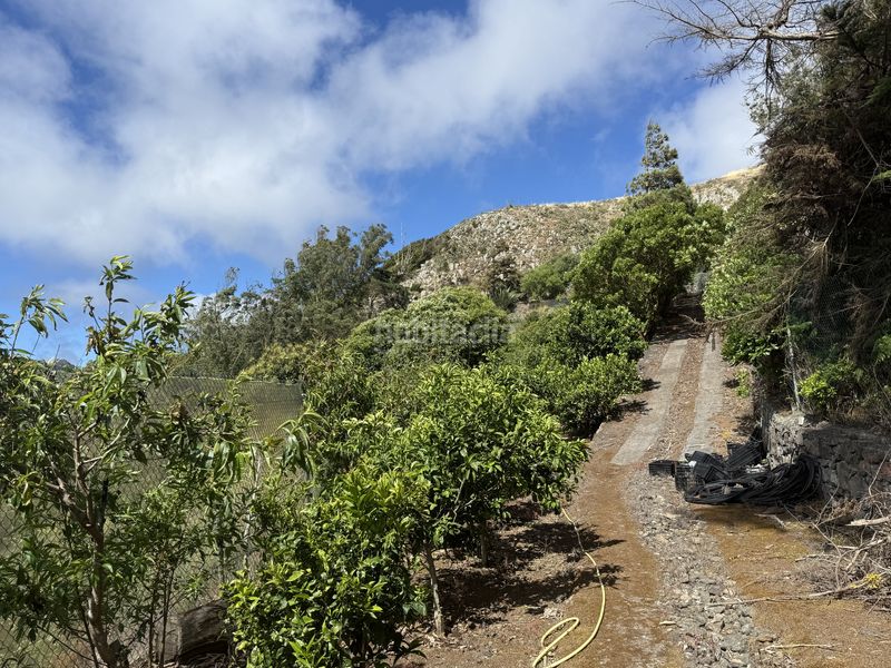Foto 1a29f3b2-b3bd-435d-9172-625426a53e5d. Finca rústica a Tegueste