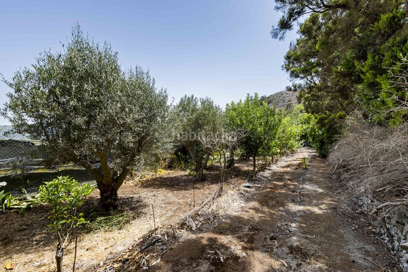 Foto 40fa0c75-d823-4d9f-85a2-e9735ac2f9a5. Finca rústica a Tegueste