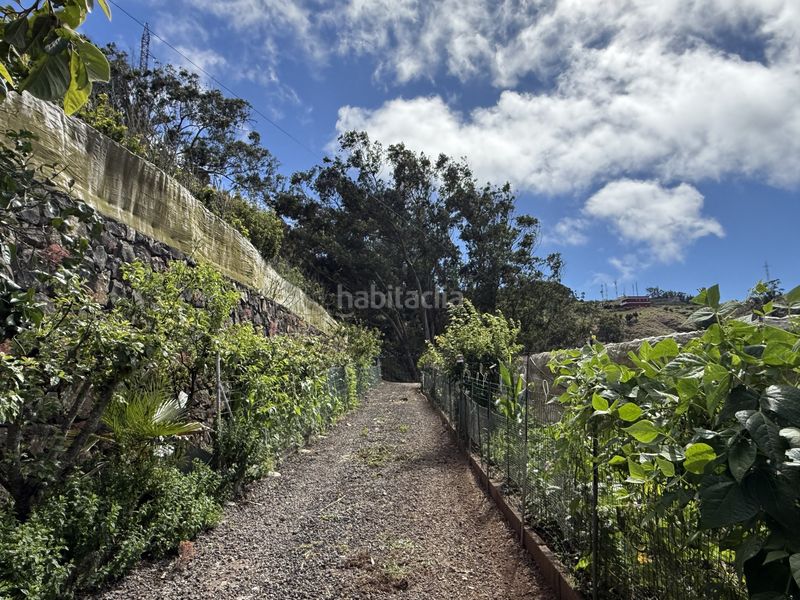 Foto 7c08d319-a7aa-431c-b502-af122bfbb717. Finca rústica a Tegueste