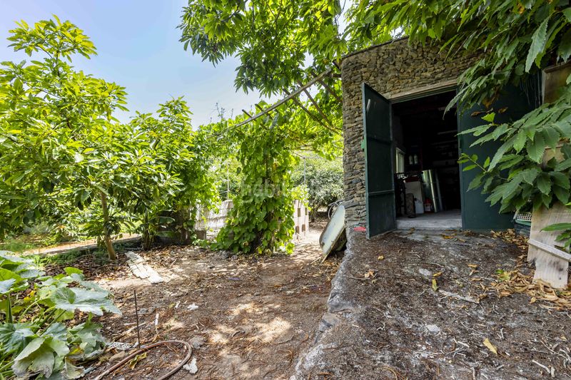 Foto 8ee72e66-7dea-49f9-a90b-ba41e98ea0d7. Finca rústica a Tegueste